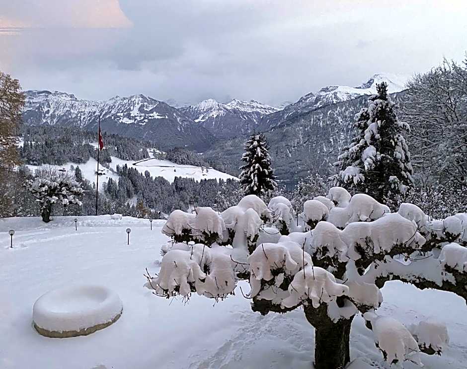 Beatenberg Resort & Spa in Beatenberg Interlaken