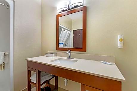 1 King Bed Suite Nonsmoking Accessible