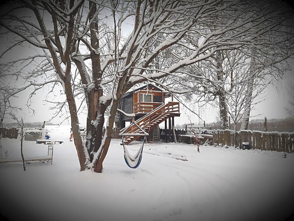 Podlasie Domek na drzewach