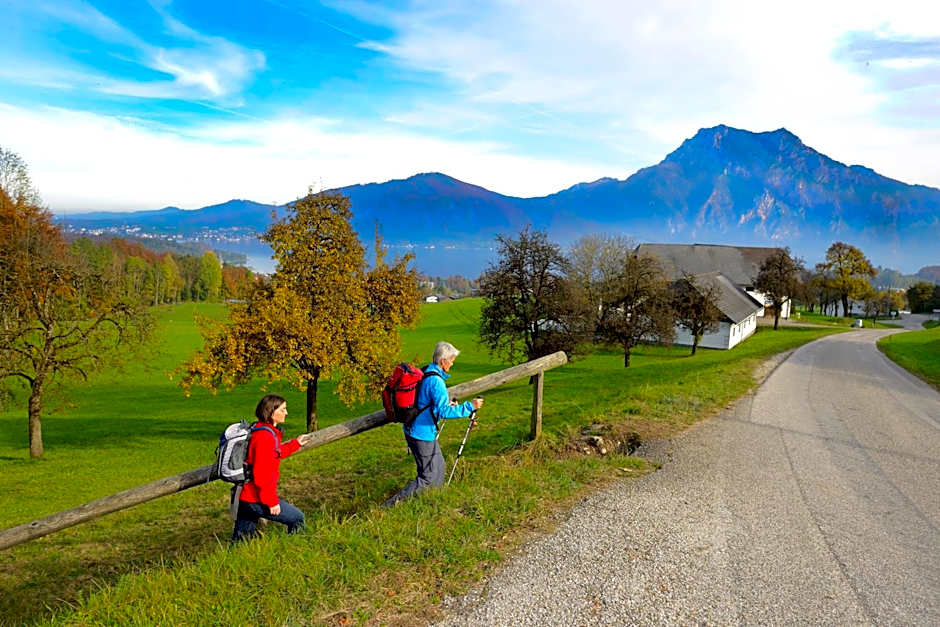 Panorama Hotel Traunstein