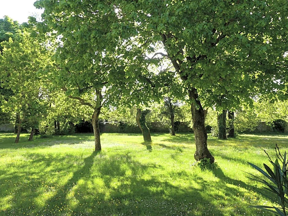 Hôtel et SPA du Château