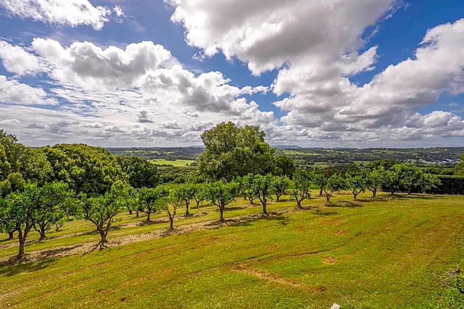 Cedia at Byron Bay Hinterland
