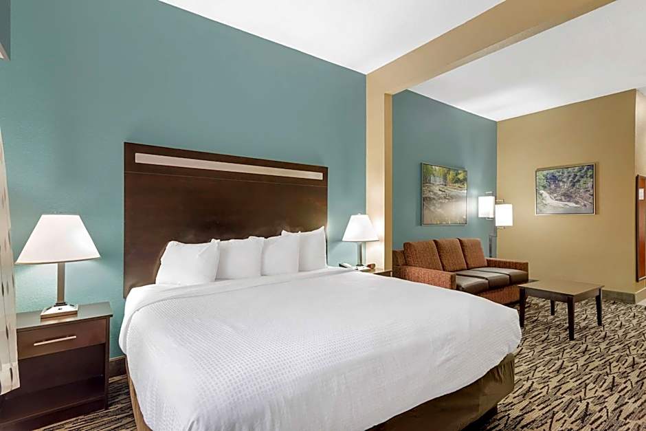 Best Western Plus McDonough Inn & Suites