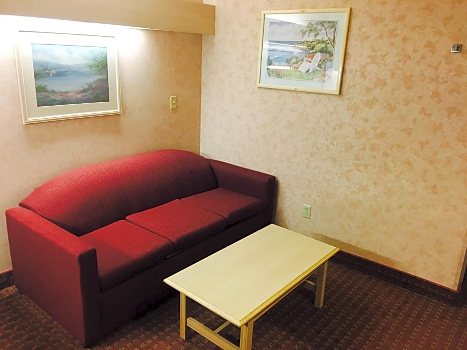 Microtel Inn & Suites by Wyndham Syracuse Baldwinsville