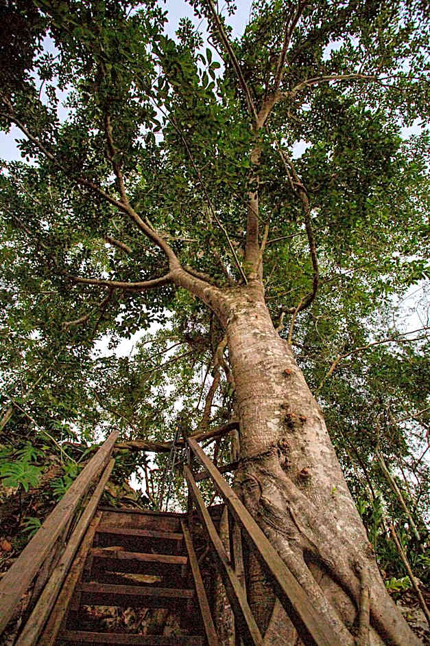 Xuux Peek by Tecnohotel