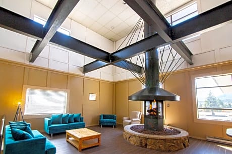 King Room Pet Friendly