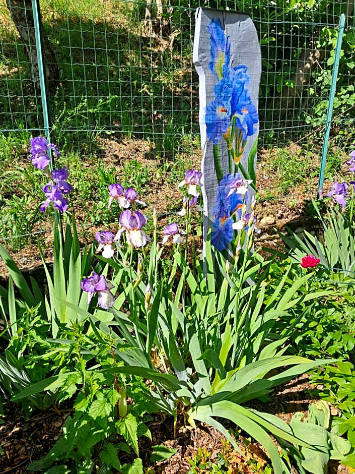 Guesthouse Ostello dell Arte