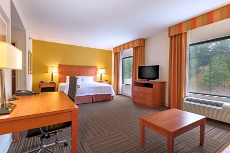 1 King Mobility Access Ri Shwr Studio Nosmok Sofabed/microwv/fridge/wet Bar/hdtv/ Work Area/free Wi-