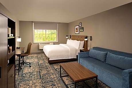 King Room with Roll-In Shower and Sofa Bed - Mobility Access