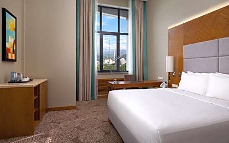 King Guest Room