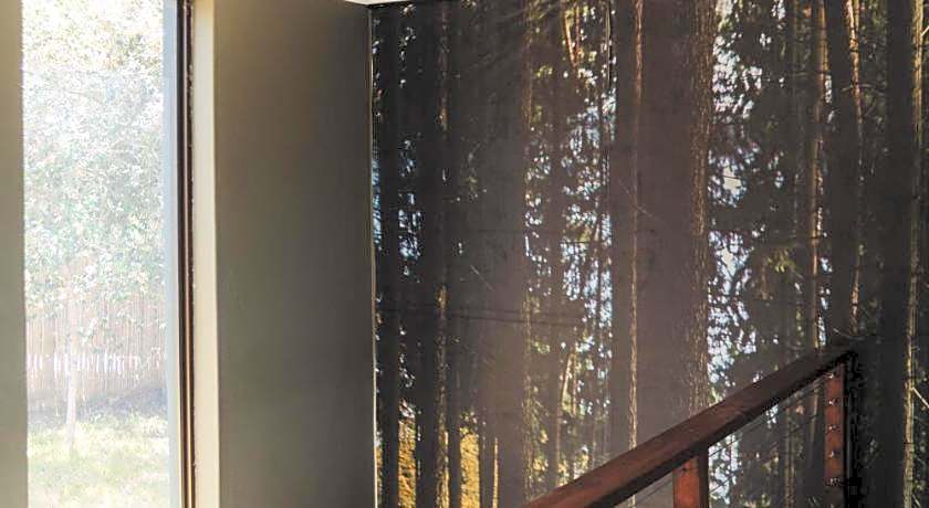 Forest Hill Wilderness