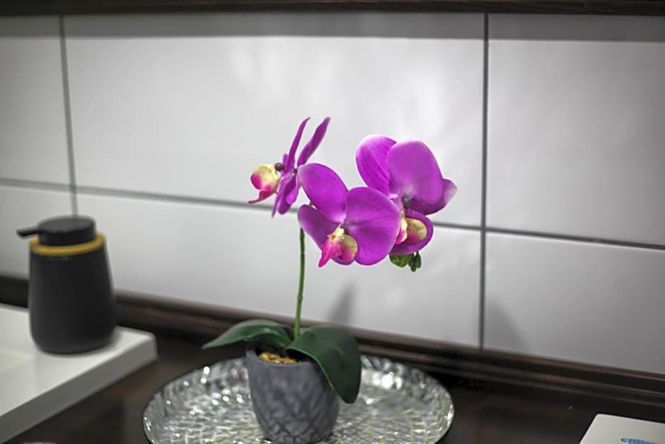 Rooms & Glamping Lana Haus