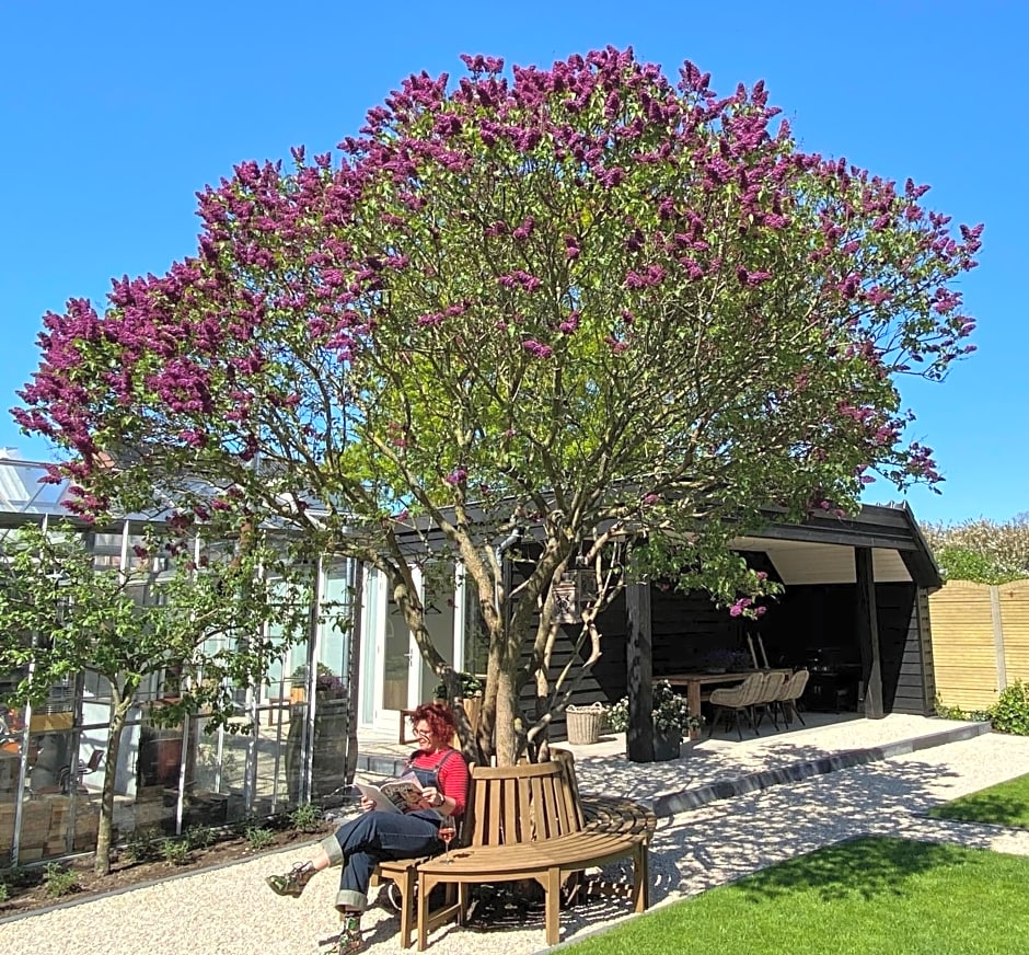 B&B Bij tante Teun