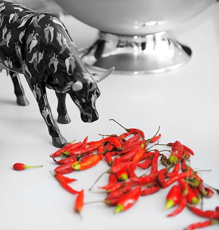 Hotel Spicy