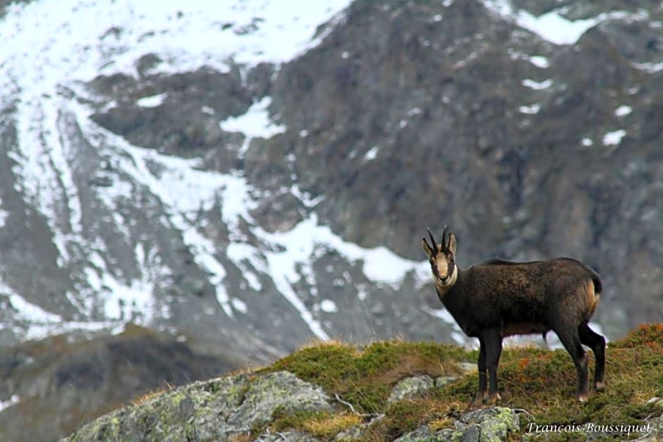 chambre d'hôte Chez Tourache