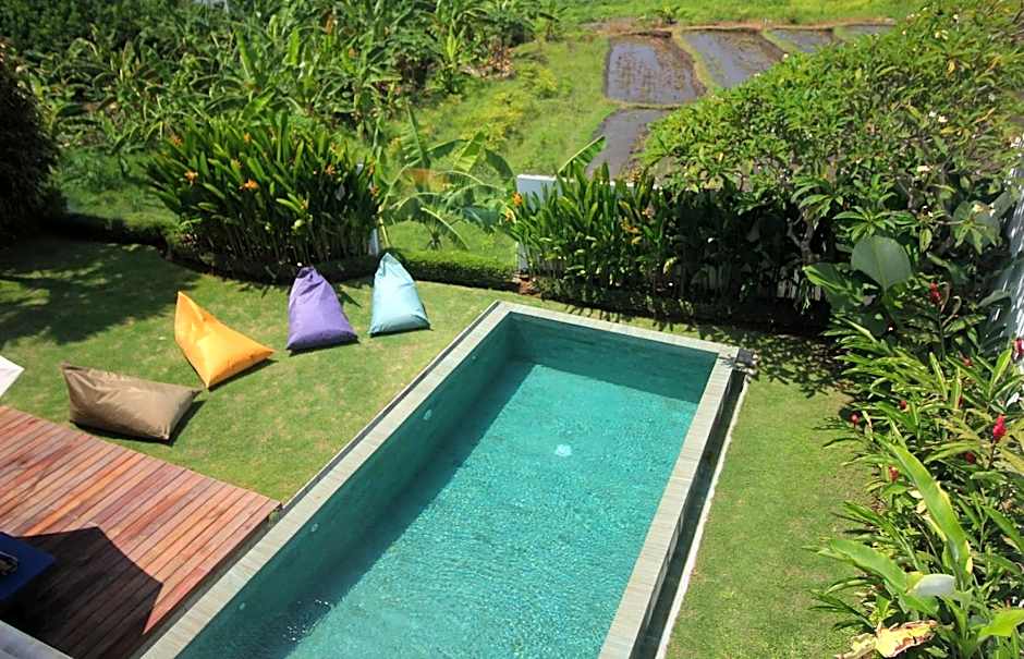 Nesara Villa