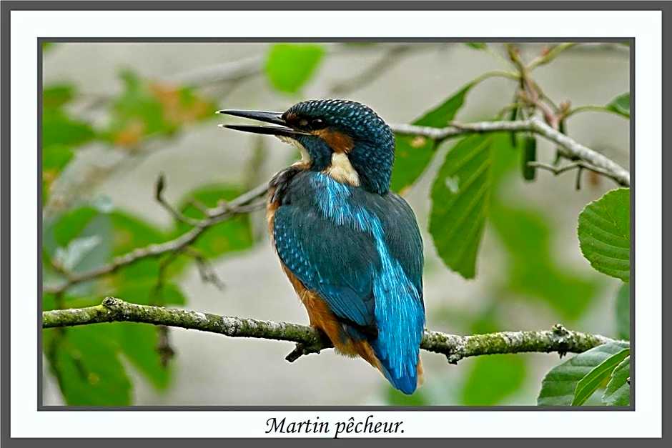 LES CHAMBRES DE LIANE