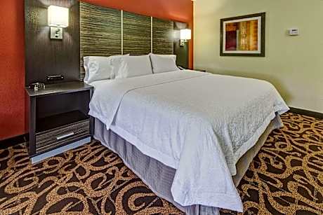 1 King Mobility Access Ri Shwr W/sofabed Ns