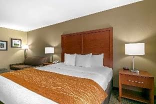 Comfort Inn & Suites Marion I-57