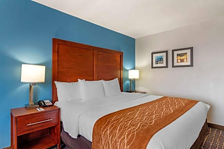 King Room - Non-Smoking