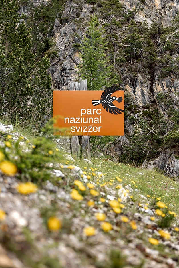 Hotel Baer & Post Zernez