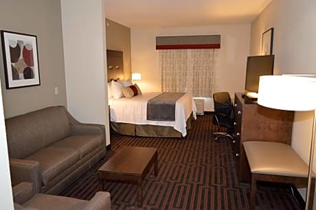 One-Bedroom Executive King Suite with Wet Bar and Sofa Bed - Non-Smoking
