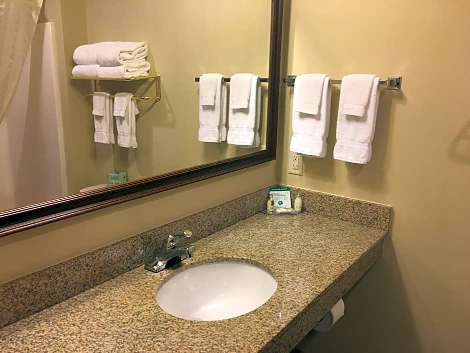 Cobblestone Inn & Suites - Durand