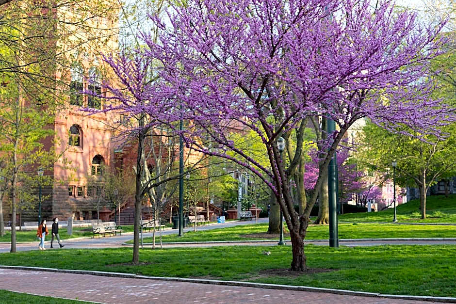 The Inn at Penn, A Hilton Hotel