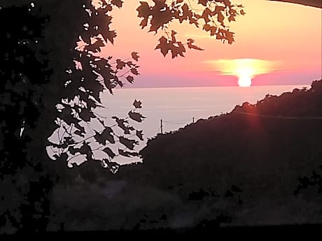 Comfort Family Room with Terrace