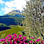 Ciasa Alpina Relax Hotel