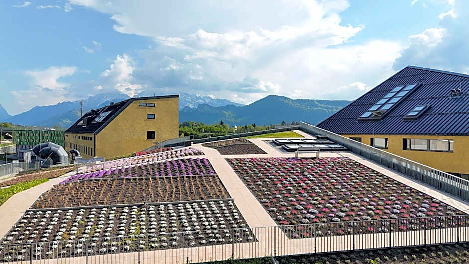 Hotel im Zentrum für Visionen