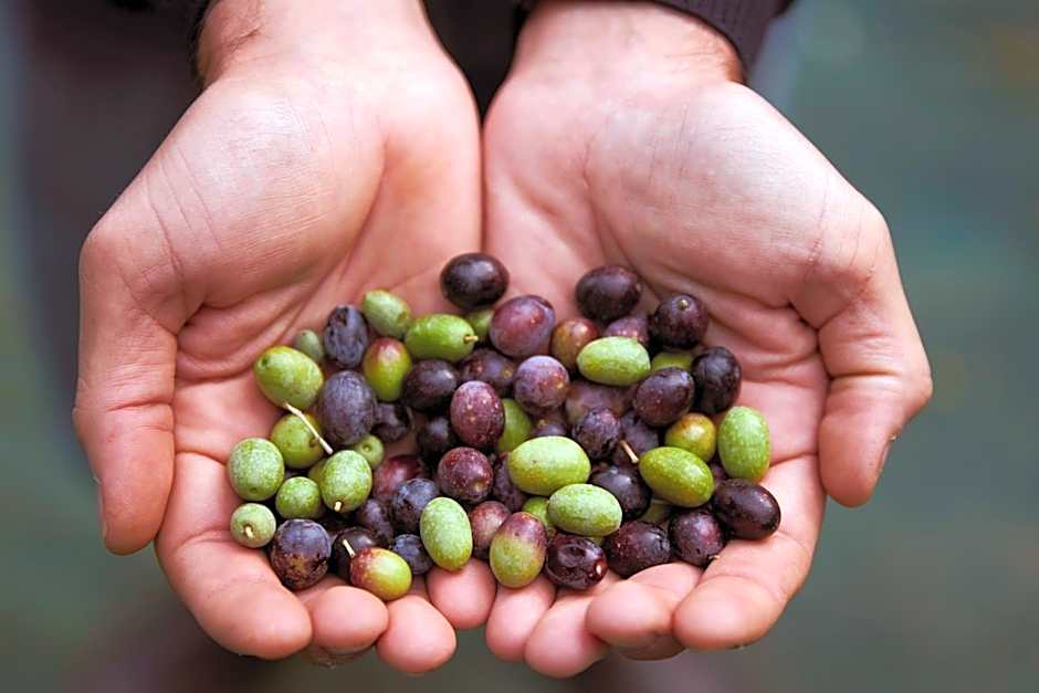 Tenuta San Vito In Fior Di Selva