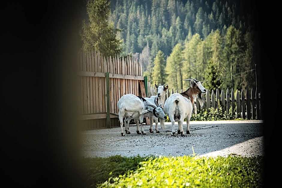 Hotel Pension Odles