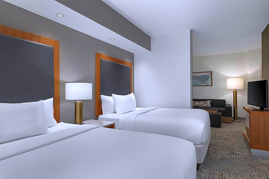 SpringHill Suites by Marriott Winston-Salem Hanes Mall