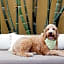Talavera Palm Springs