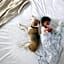 Staybridge Suites Silicon Valley - Milpitas By IHG