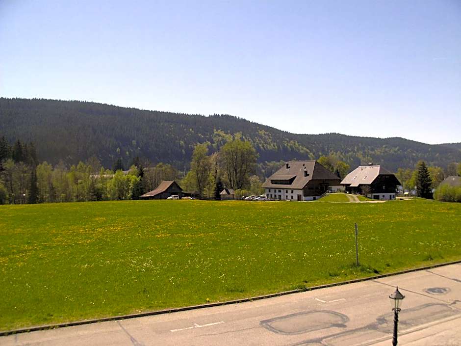 Hotel Rheingold Garni