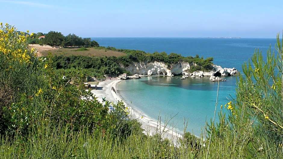 Oskars Studios & Apartments