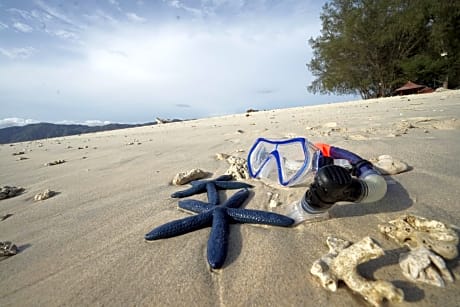 Special Offer - Budget Twin Room with Snorkeling Trip to 3 Islands