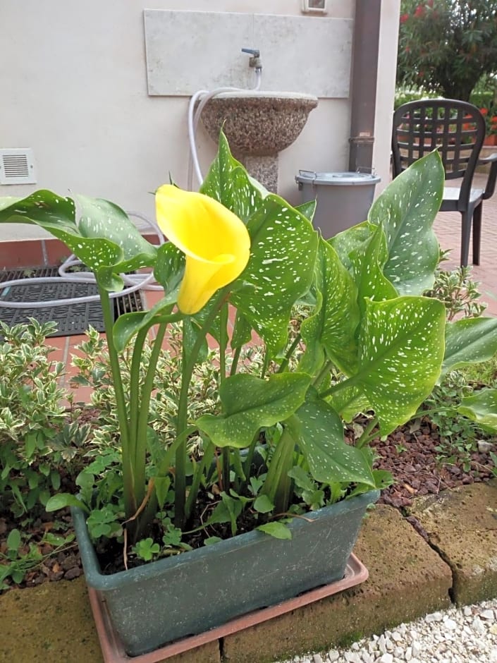 Le Motelle - Camera 30