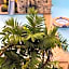 Moalboal Tropics