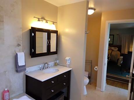 King Room with Spa Bath
