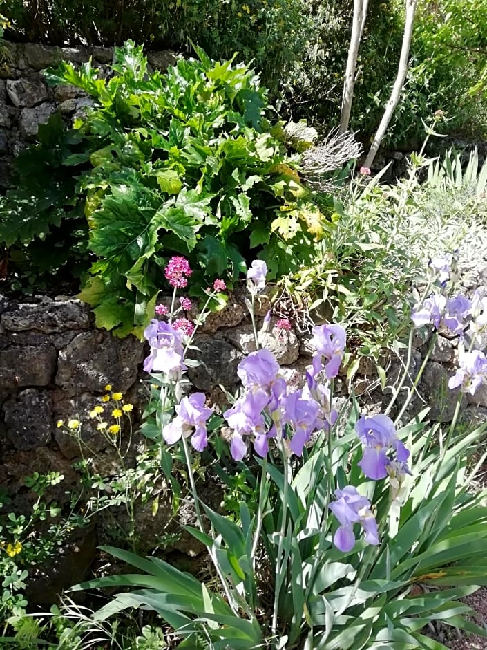 Chambre d'Hôte Le Mas des Romarins