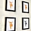 Hacienda Rooms