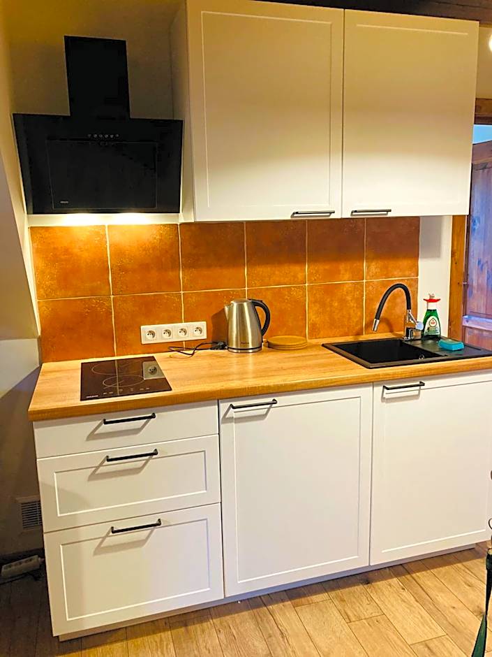 Modryna - Modrzewiowy Dom