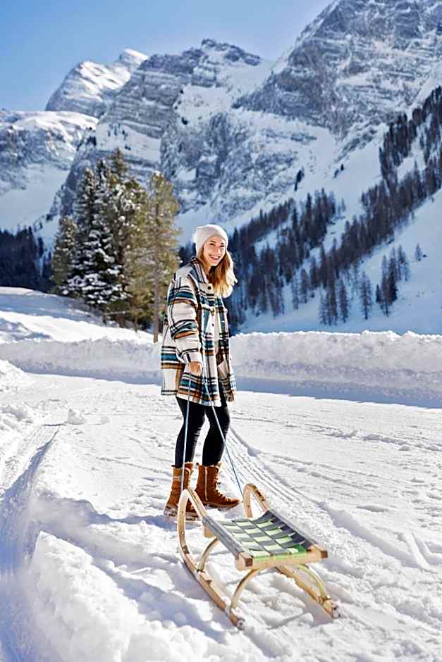 Berggasthaus Höllensteinhütte