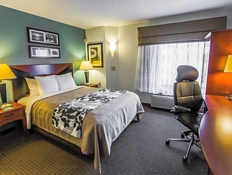 1 Queen Bed, Nonsmoking