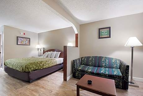 King Suite with Sofa Bed - Non-Smoking