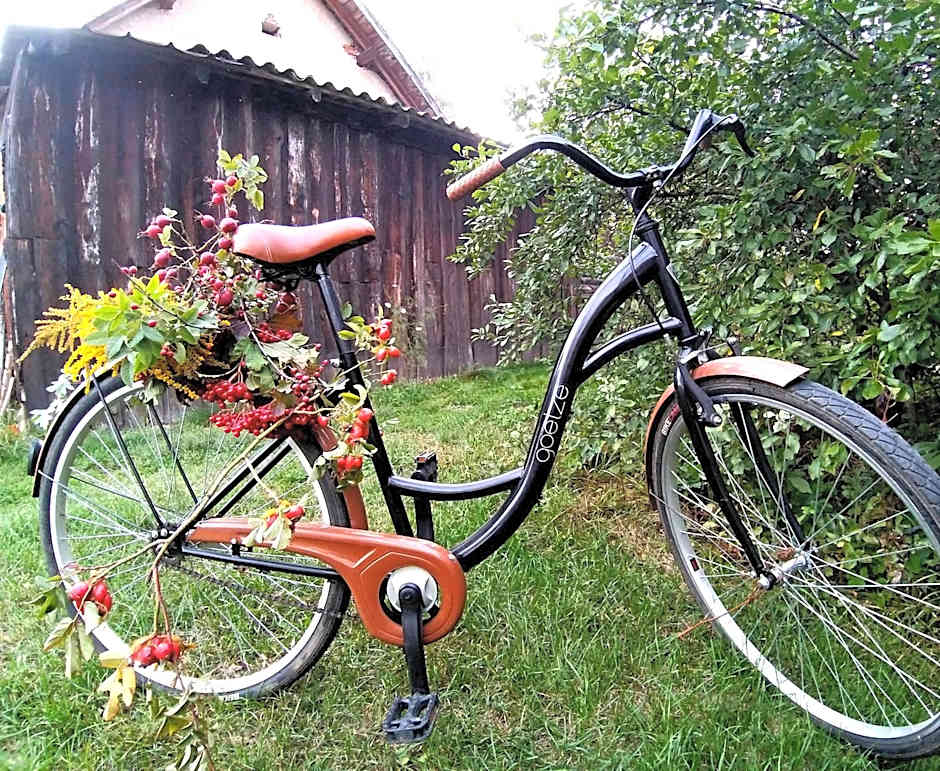 Domek na Skraju Wsi dostęp do jeziora UBLIK