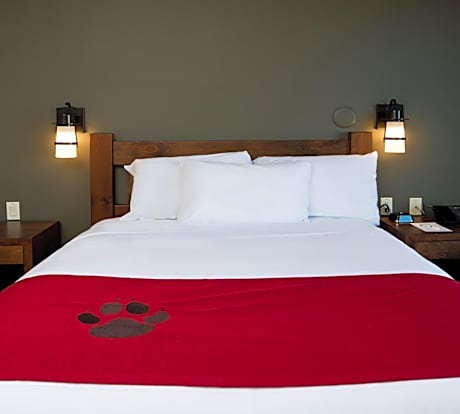 Deluxe Majestic Bunk Bed Suite